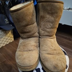 Classic Ugg short boots in Chestnut.
